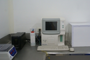 DSC08800.JPG